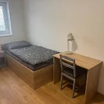 Vysoka Stran
